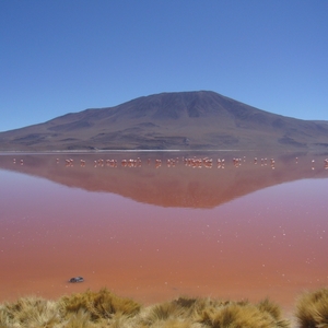 Bolivia-Laguna Colorada